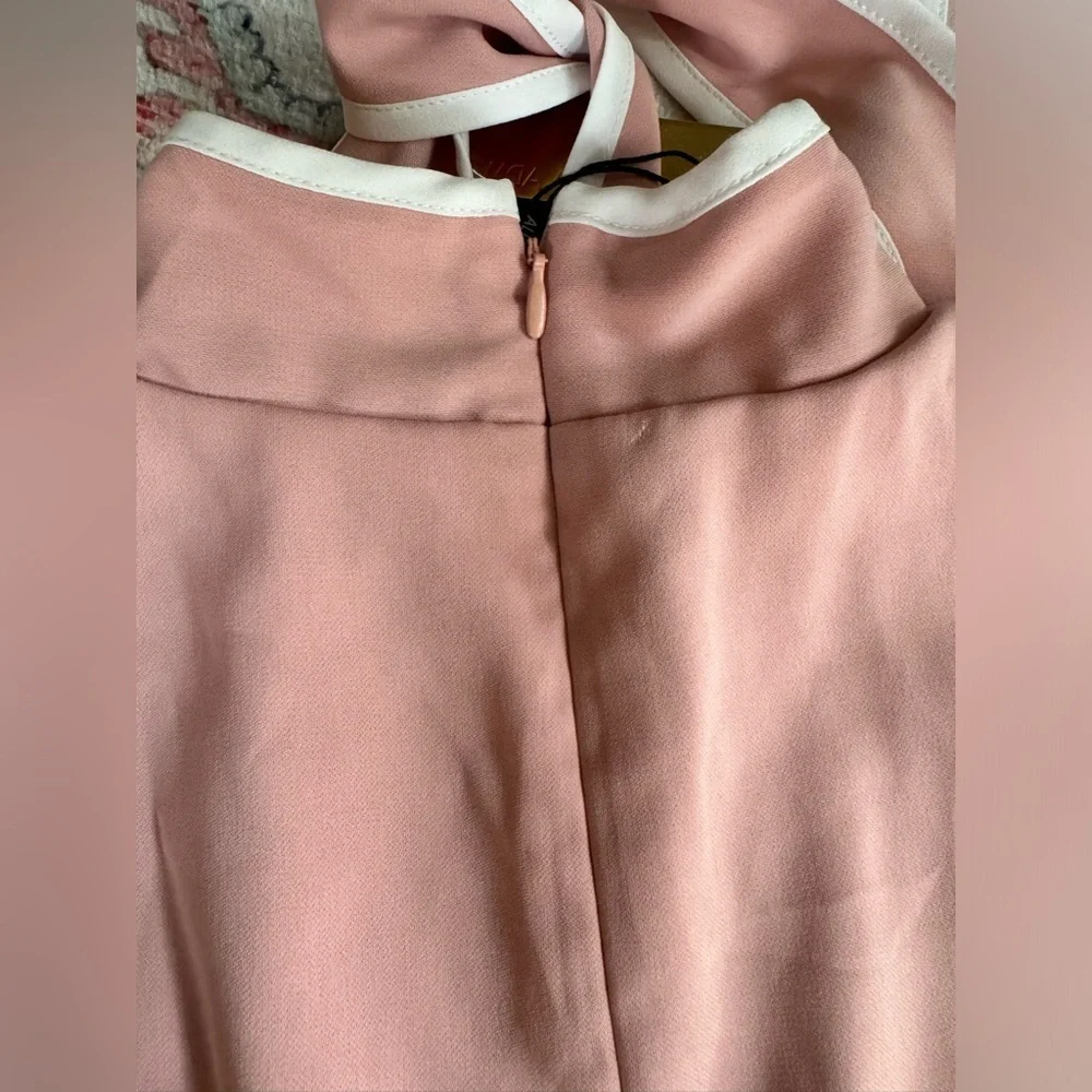 NWT  Alexia Admor Short Sleeve Sleeve Fit And Flare Dress Pink And White - Picture 8 of 8